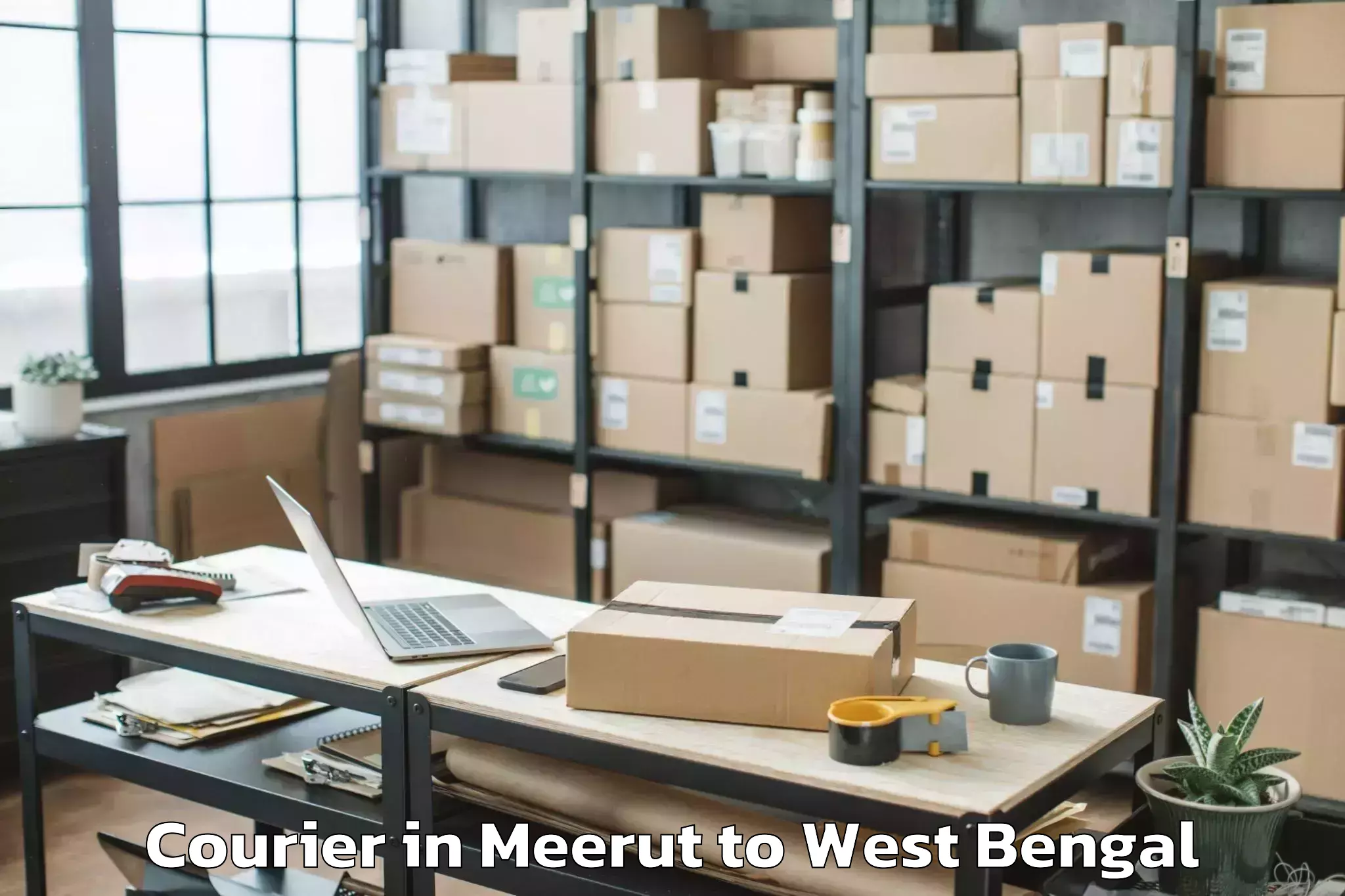 Leading Meerut to Raidighi Courier Provider